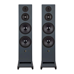 Напольная акустика Davis Acoustics Krypton N 10 Classic Walnut