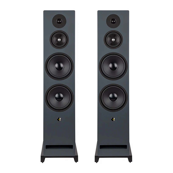 Напольная акустика Davis Acoustics Krypton N 10 Classic Walnut - рис.0