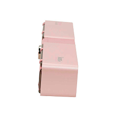Портативная колонка Divoom D-Base Pink
