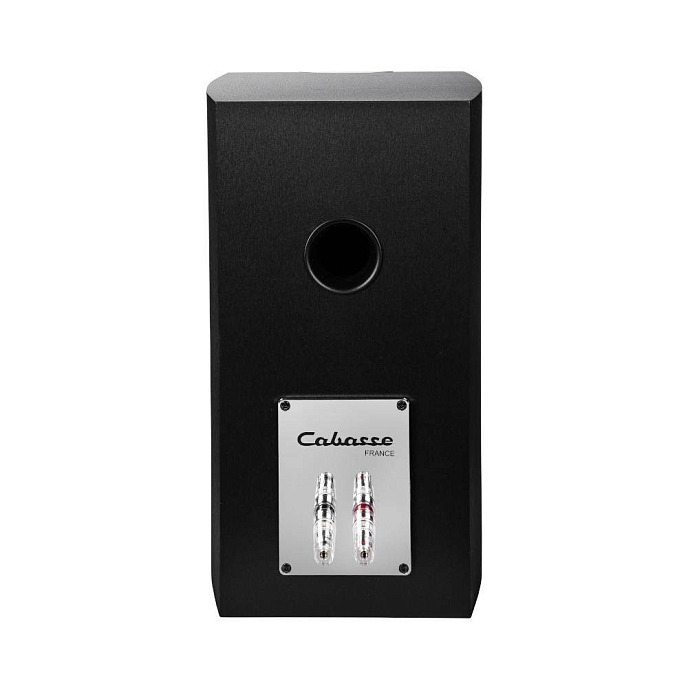 Полочная акустика Cabasse Minorca MC40 Brushed Black - рис.3