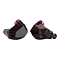 Campfire Audio Fathom Black