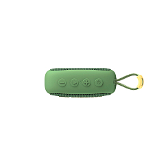 Беспроводная акустика FiiO Snowsky Anywhere Olive Green