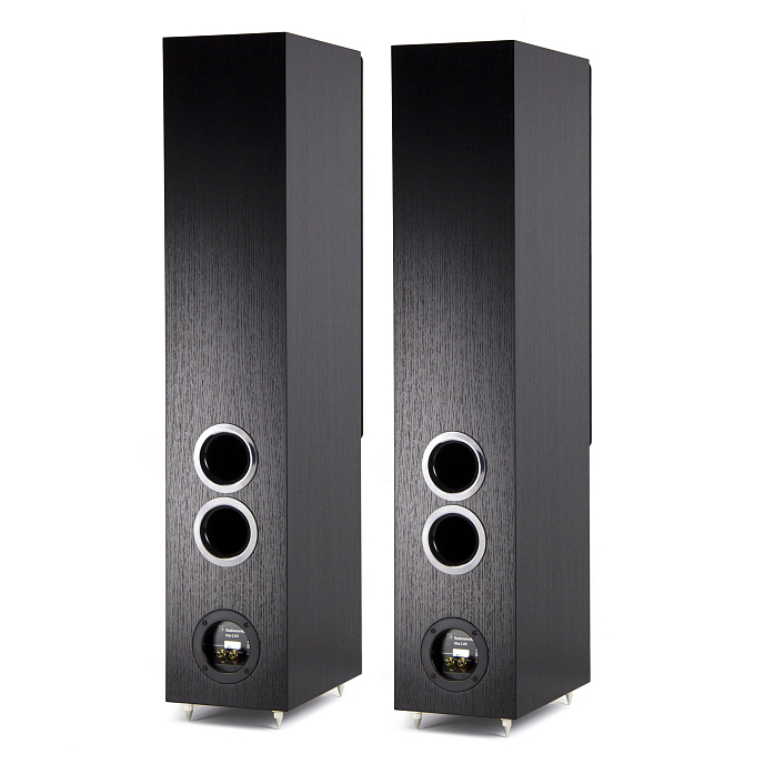 Напольная акустика Radiotehnika Vita 2.05 Black Ash - рис.3