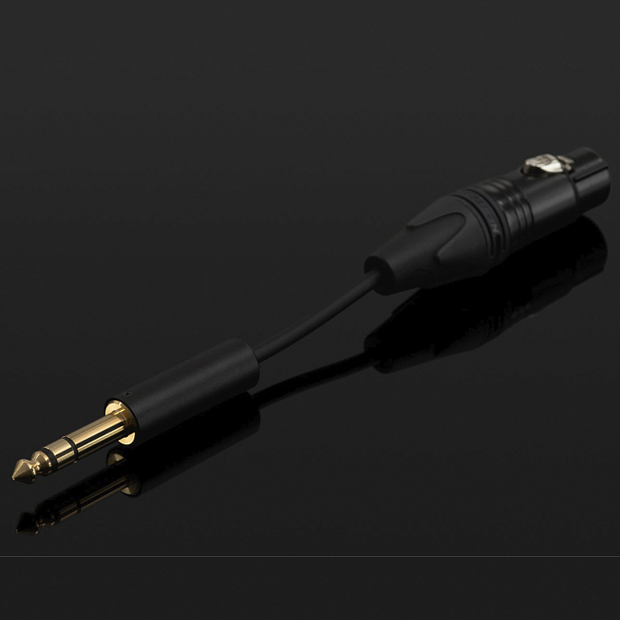 High End наушники Final Audio DX10000CL Collectors Edition Black Gold - рис.12