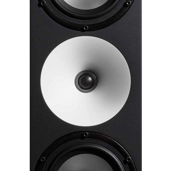 Студийный монитор Amphion Two15 Black - рис.4