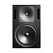 Студийный монитор Genelec 1032CPM Black - рис.0