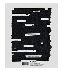 Книга Дневники. Диана Арбенина