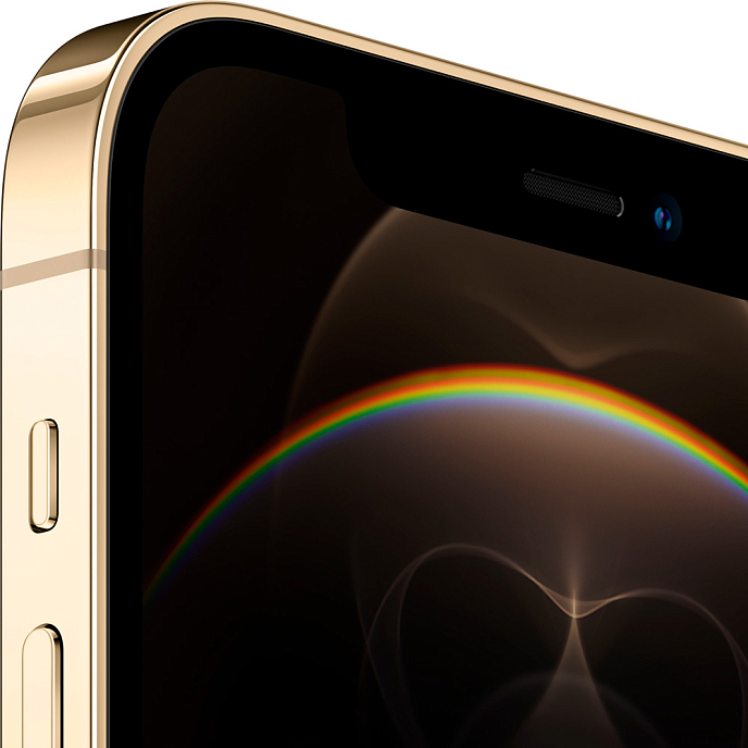 Телефон Apple iPhone 12 Pro 256GB Gold - рис.1