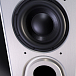 Сабвуфер Wilson Audio Subsonic Subwoofer Quartz - рис.2