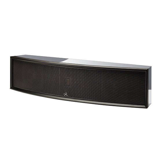 Центральный канал Martin Logan Focus ESL C18 Arctic Silver - рис.0