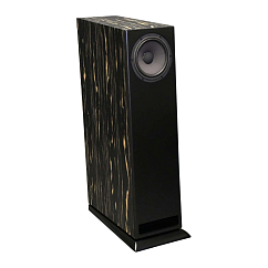 Напольная акустика Davis Acoustics MV One Master Ebony