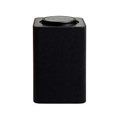 Умная колонка Яндекс Станция Макс Zigbee Black