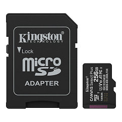 Карта памяти Kingston Canvas Select Plus Gen3 Adaptor 256 Gb Adaptor