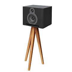 Полочная акустика Guru Q10 Satin Black