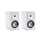 Martin Logan Foundation B2 Satin White