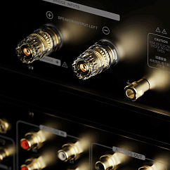 Усилитель мощности Eversolo AMP-F10 Black