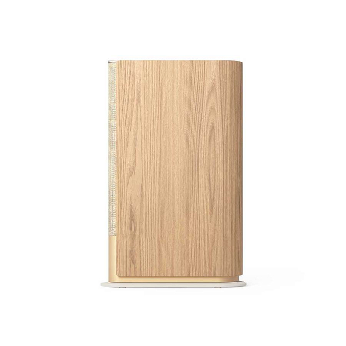 Беспроводная акустика Bang & Olufsen Beosound Emerge Gold Tone - рис.9