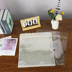 Конверт для пластинок внешний Alive Audio AA-ACC-SLBOUT Конверты для винила 12" (100 шт.) Transparent