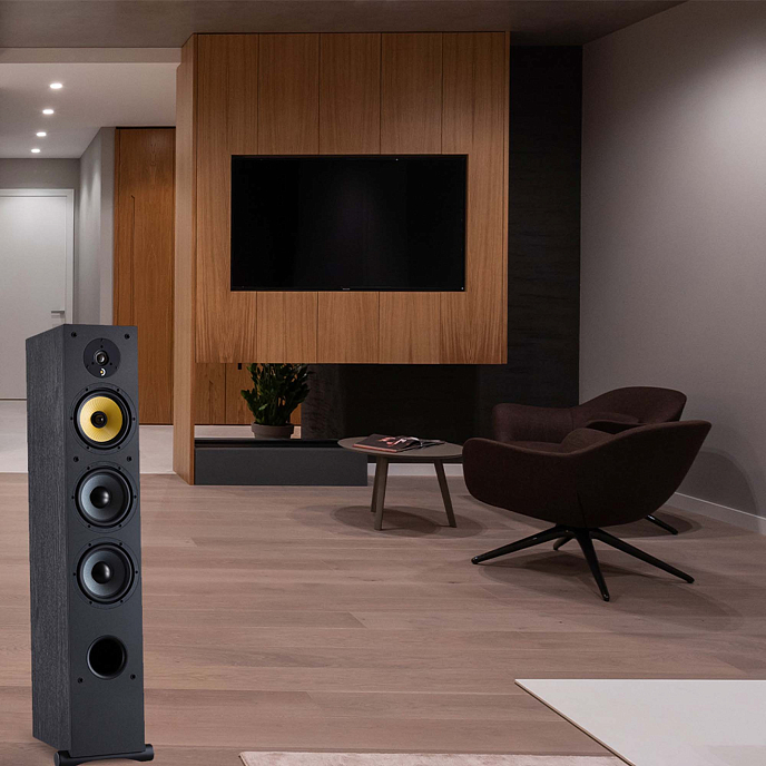 Напольная акустика Davis Acoustics Ariane 7 Black - рис.6