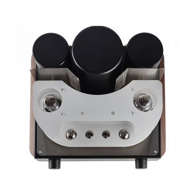 Интегральный усилитель Mastersound Compact 300B Black Wood - рис.1