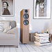 Напольная акустика Acoustic Energy AE309 Real Walnut - рис.2