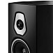 Напольная акустика Sonus Faber Sonetto VIII Black - рис.3