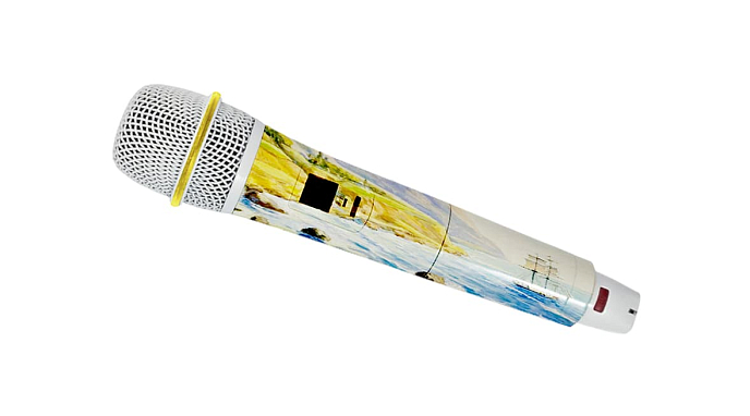 Кастомизация Авторская аэрография тела микрофона - рис.6