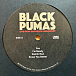 Виниловая пластинка Black Pumas - Live From Brooklyn Paramount - 2LP+CD - рис.7