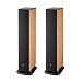 Напольная акустика Focal Aria Evo X N3 Walnut - рис.1