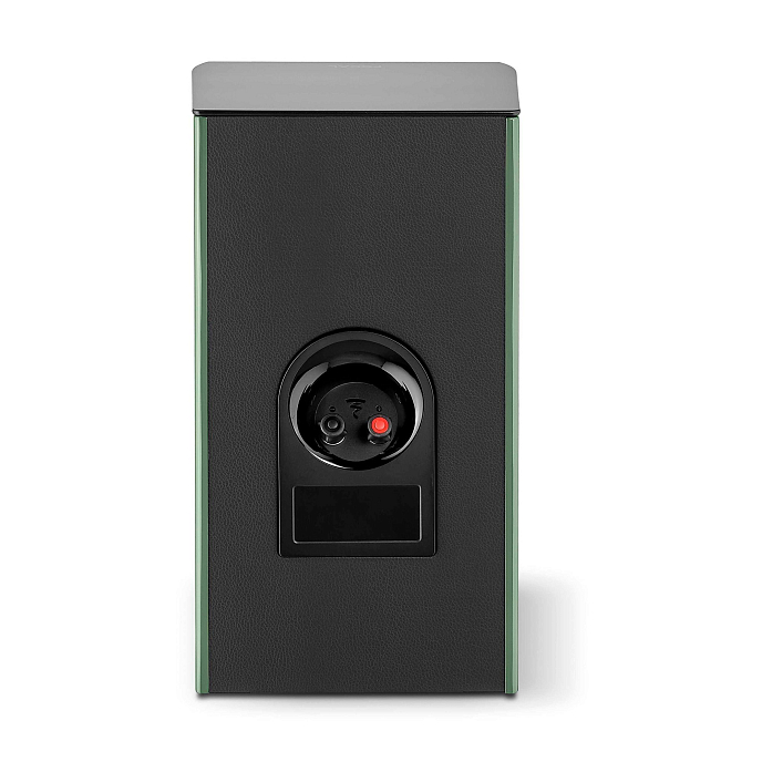 Полочная акустика Focal Aria Evo X N1 Green Moss - рис.3