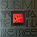 Бокс-сет Susumu Yokota – Volume 1 - Albums 1-7 (Skintone Edition, Box-set) LP - рис.44