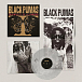 Виниловая пластинка Black Pumas – Chronicles Of A Diamond (chrystal clear) LP - рис.2