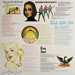 Пластинка Elton John - Goodbye Yellow Brick Road