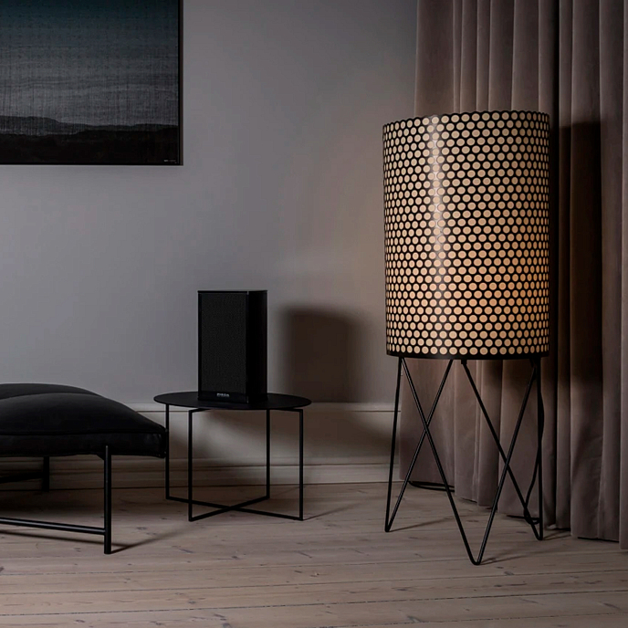 Полочная акустика Piega Premium 301 White - рис.5