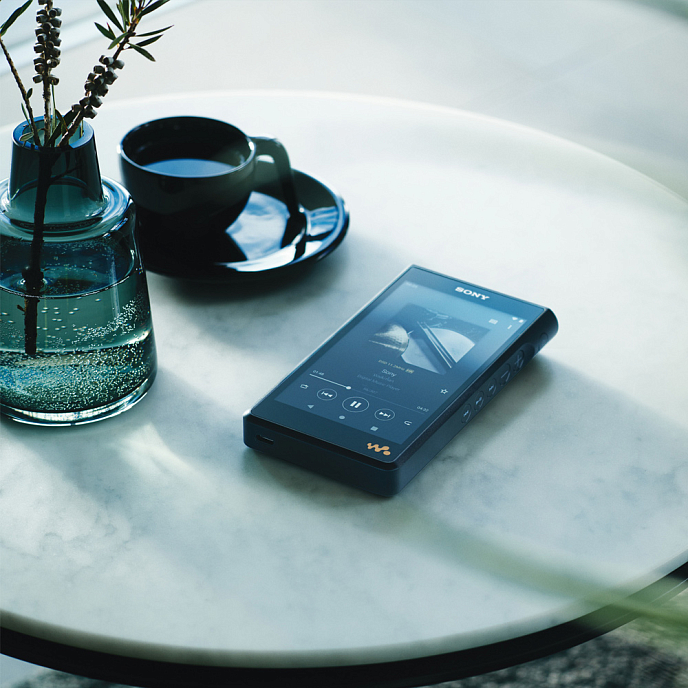 Плеер Sony NW-WM1AM2 Black - рис.6