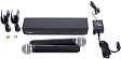 Радиосистема Shure BLX288E/SM58 M17 - рис.2