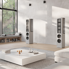 Напольная акустика Piega Master Line Source 2 Baffle Anodised Black/Zebrano