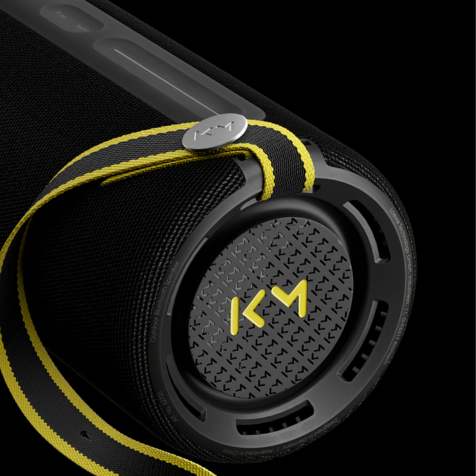 Портативная колонка Loewe We. HEAR Pro Black - рис.4