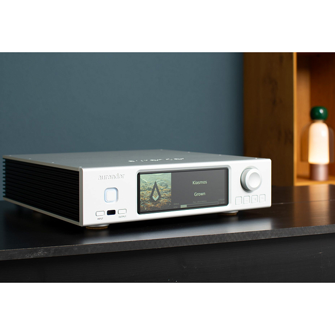 Сетевой аудиоплеер Aurender A1000 2TB Silver - рис.4