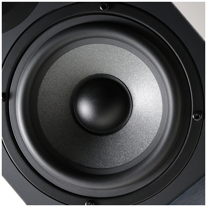 Полочная акустика Radiotehnika S-20NA Black Ash - рис.20