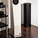 Акустический экран PSI Audio AVAA C214 Black - рис.4