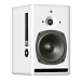 Студийный монитор PSI Audio A17-Ms White - рис.0