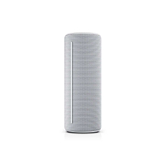 Портативная колонка Loewe We. HEAR 2 Cool Grey
