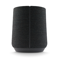 Портативная колонка Harman Kardon Citation 300 Black