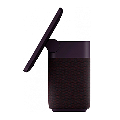 Умная колонка Яндекс Дуо Макс с Zigbee Red