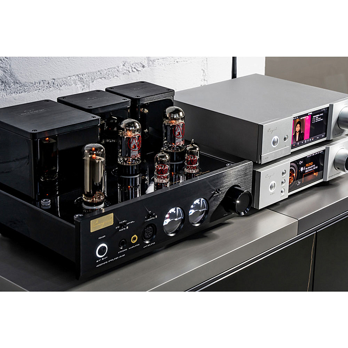 Усилитель для наушников Cayin HA-3A - рис.6