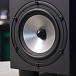 Студийный монитор Amphion Two18 Black - рис.13