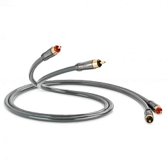 Кабель QED Performance Audio 40i 2 m