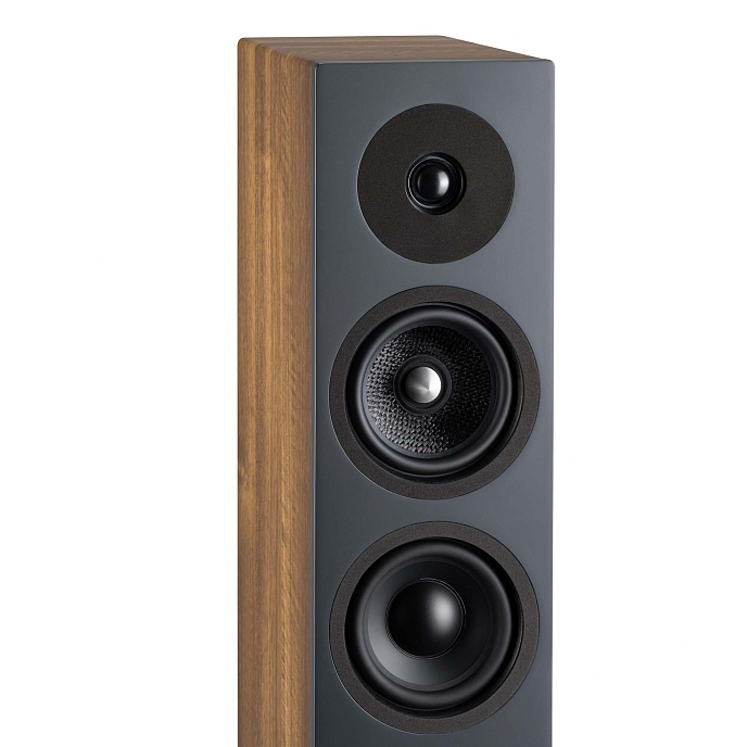 Напольная акустика Davis Acoustics Krypton 6 Classik Walnut - рис.3