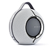 Портативная колонка Devialet Mania Light Grey + Mania Station - рис.1